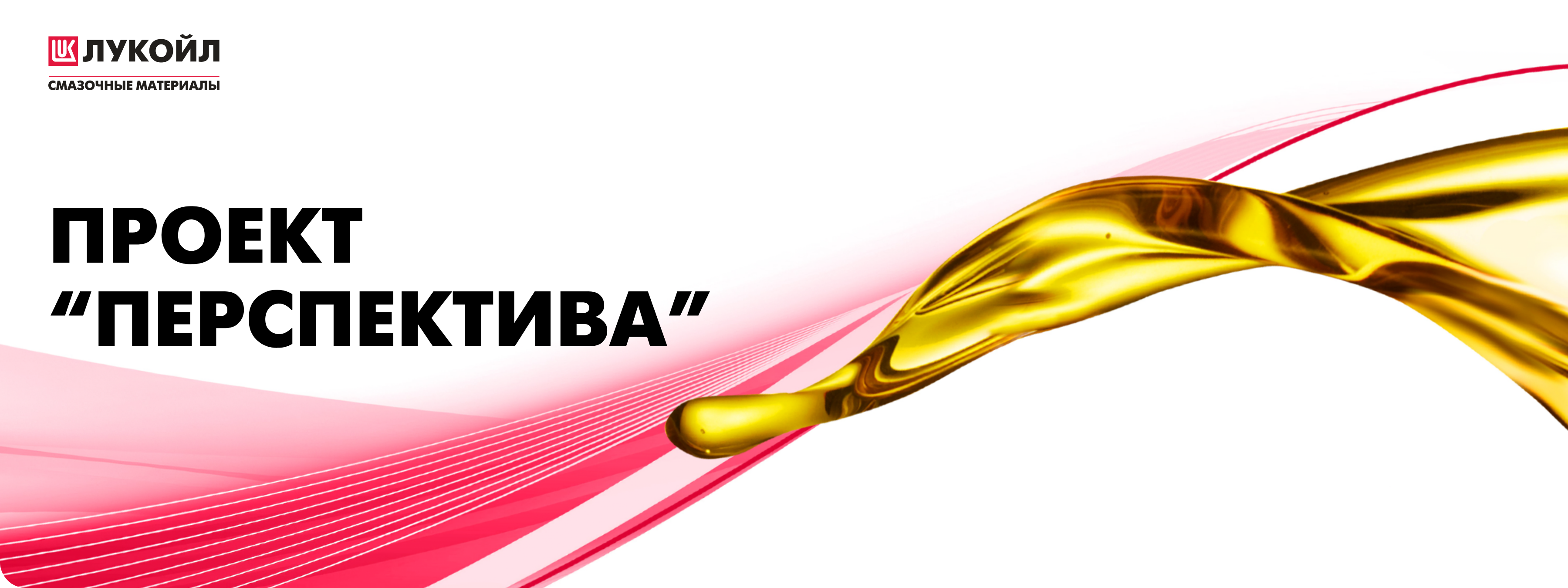 Проект «Перспектива» – это программа по привлечению и трудоустройству ...